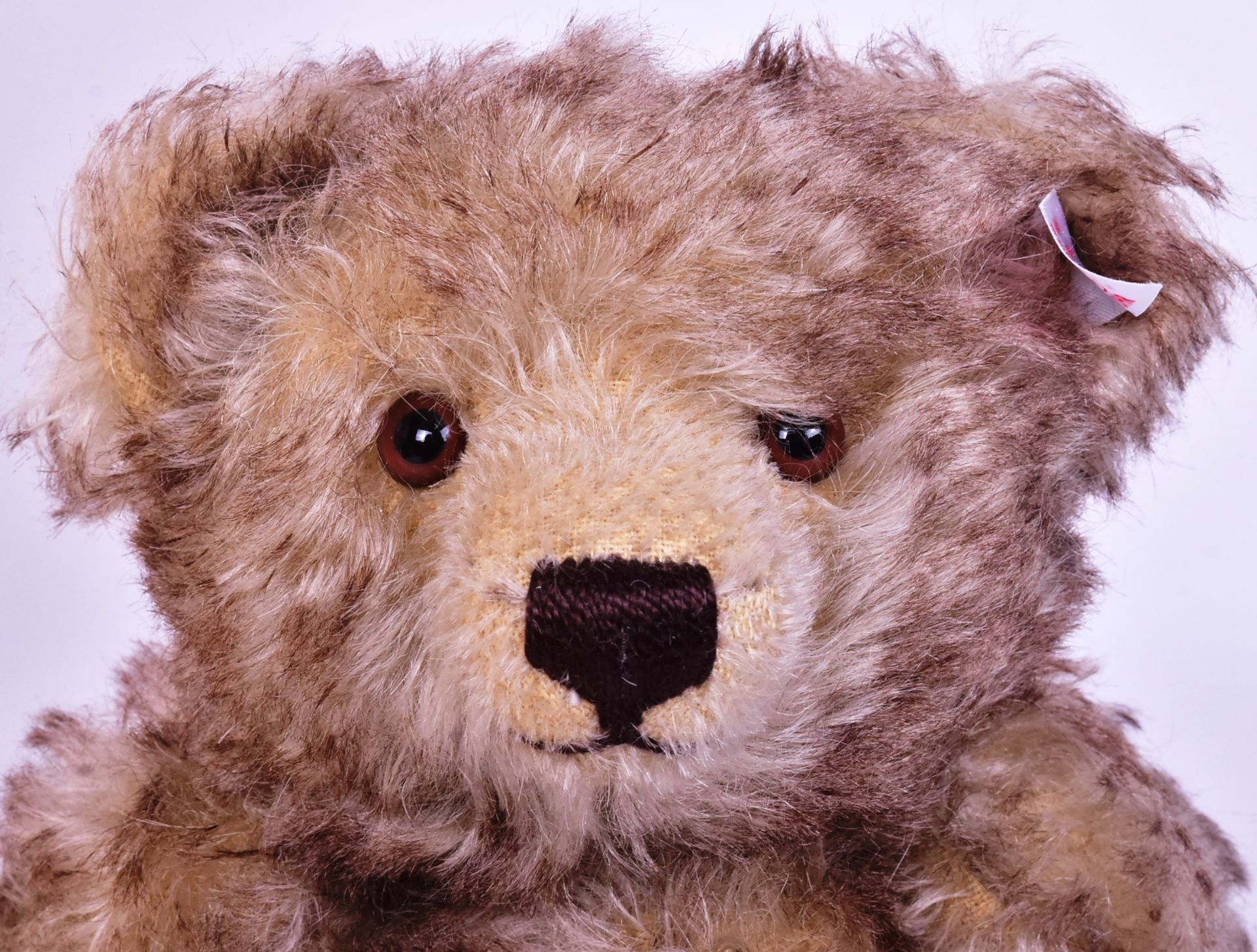 TEDDY BEARS - STEIFF BUCKINGHAM BEAR - Bild 3 aus 6