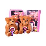 TEDDY BEARS - X2 VINTAGE DENYS FISHER NOOKIE BEARS