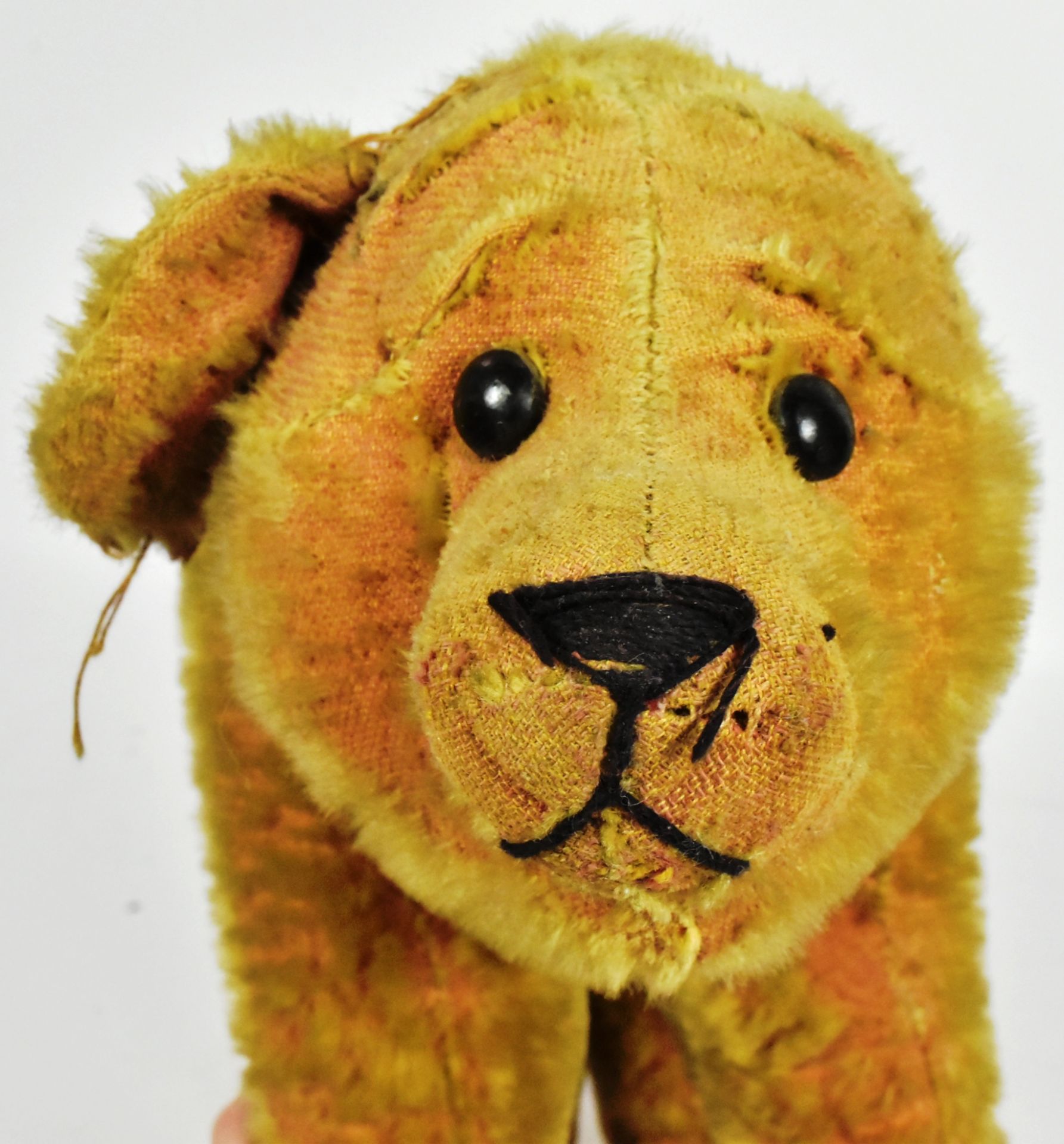 STEIFF - EARLY 20TH CENTURY GERMAN STUFFED BEAR ORIGINALLY ON WHEELS - Bild 5 aus 6