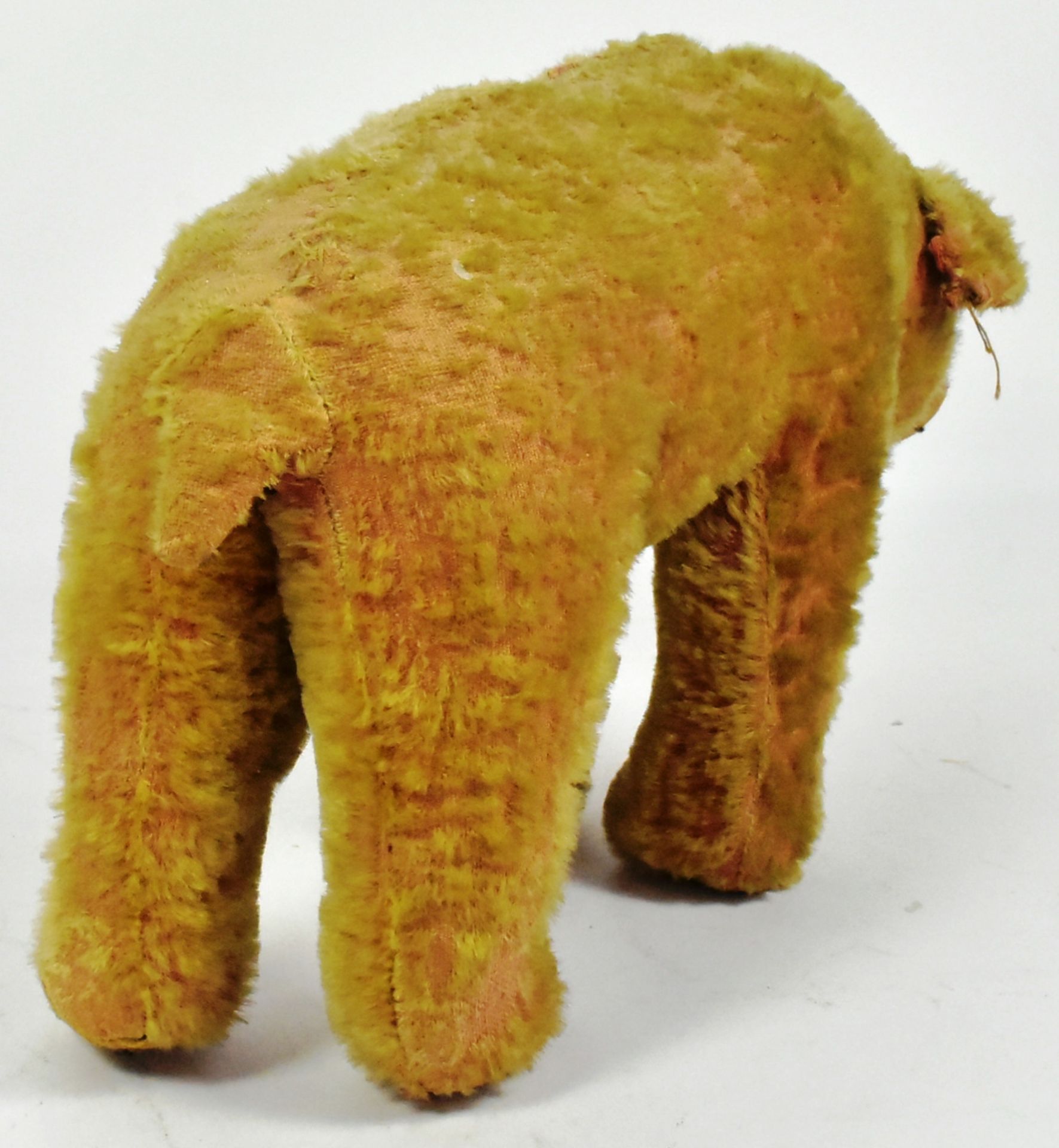 STEIFF - EARLY 20TH CENTURY GERMAN STUFFED BEAR ORIGINALLY ON WHEELS - Image 4 of 6