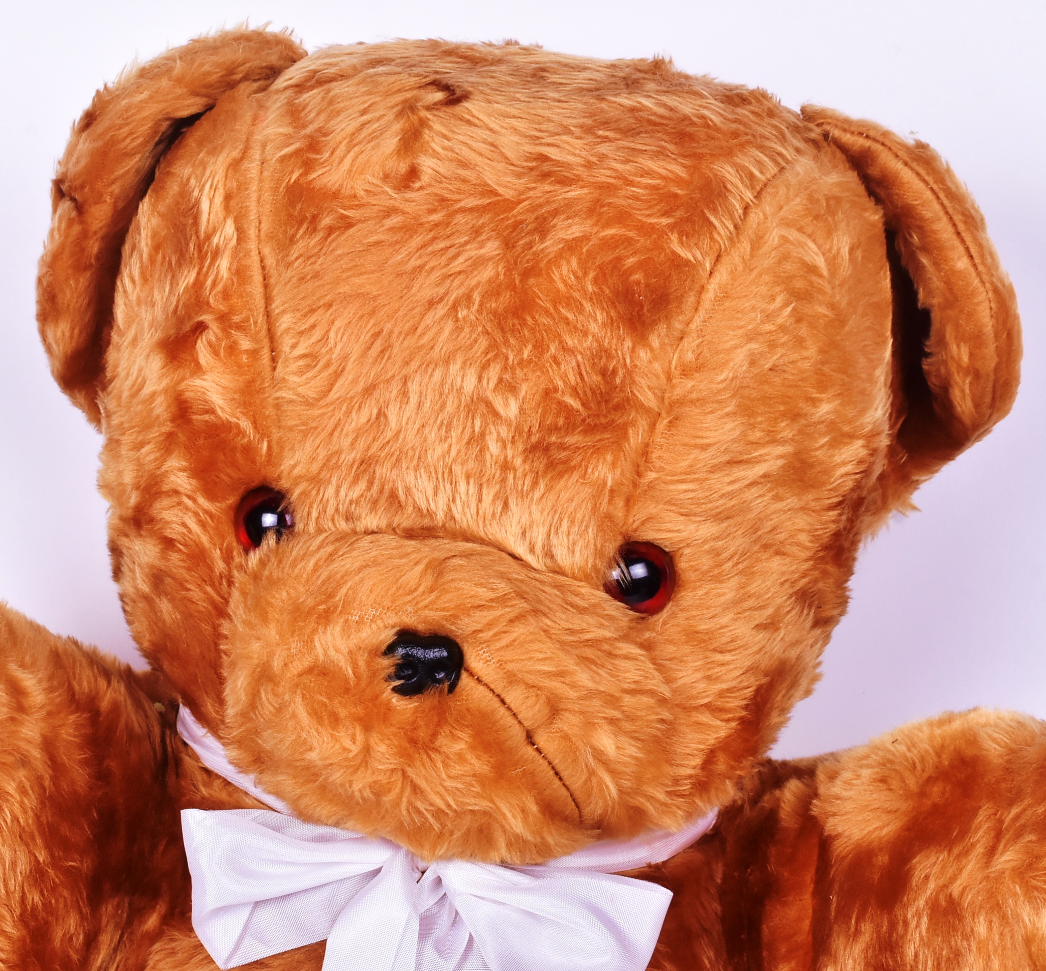 TEDDY BEARS - LARGE SOFT TOY TEDDY BEAR - Image 2 of 4