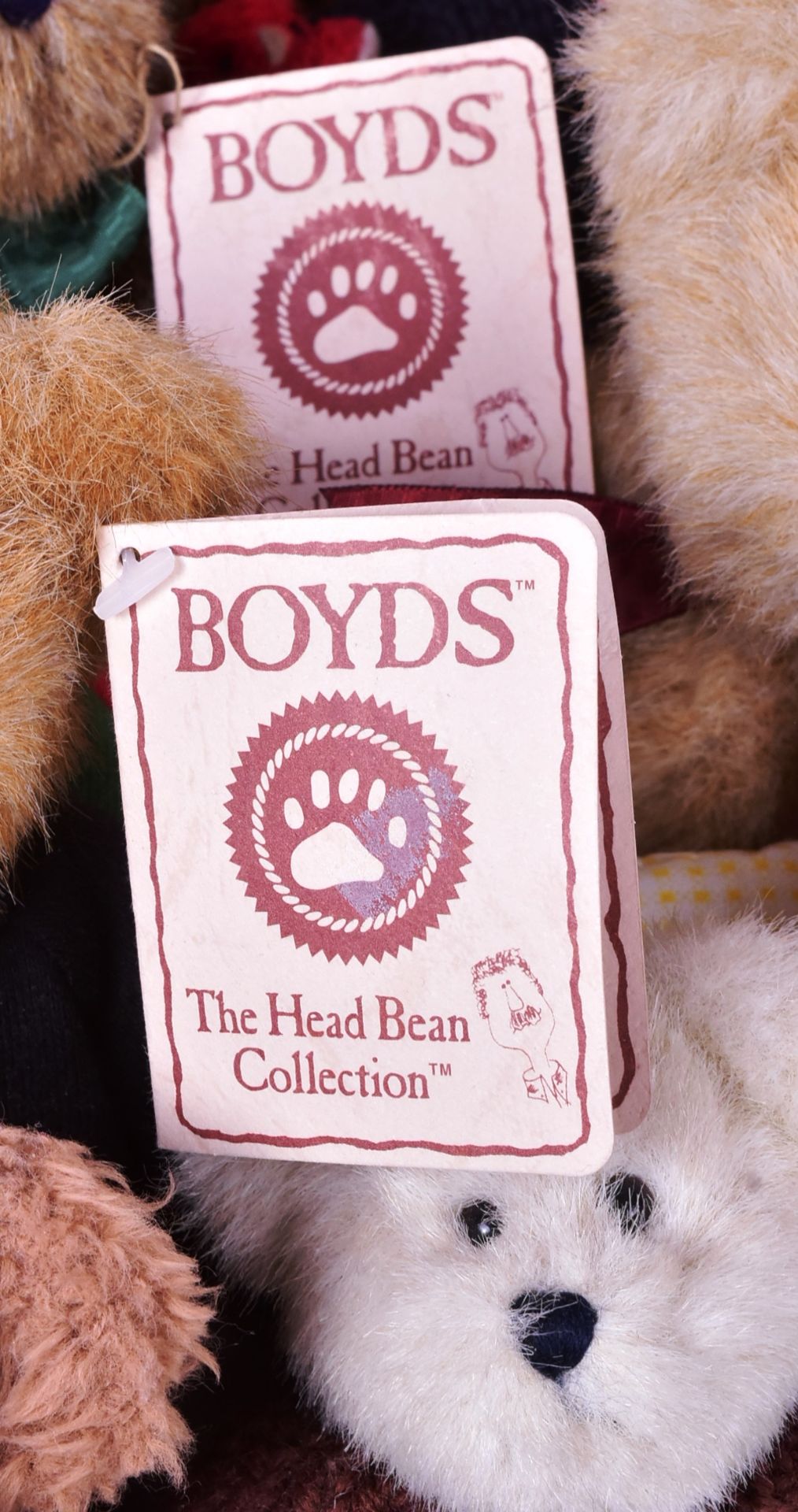 TEDDY BEARS - LARGE COLLECTION OF ASSORTED BOYDS TEDDY BEARS - Image 6 of 6