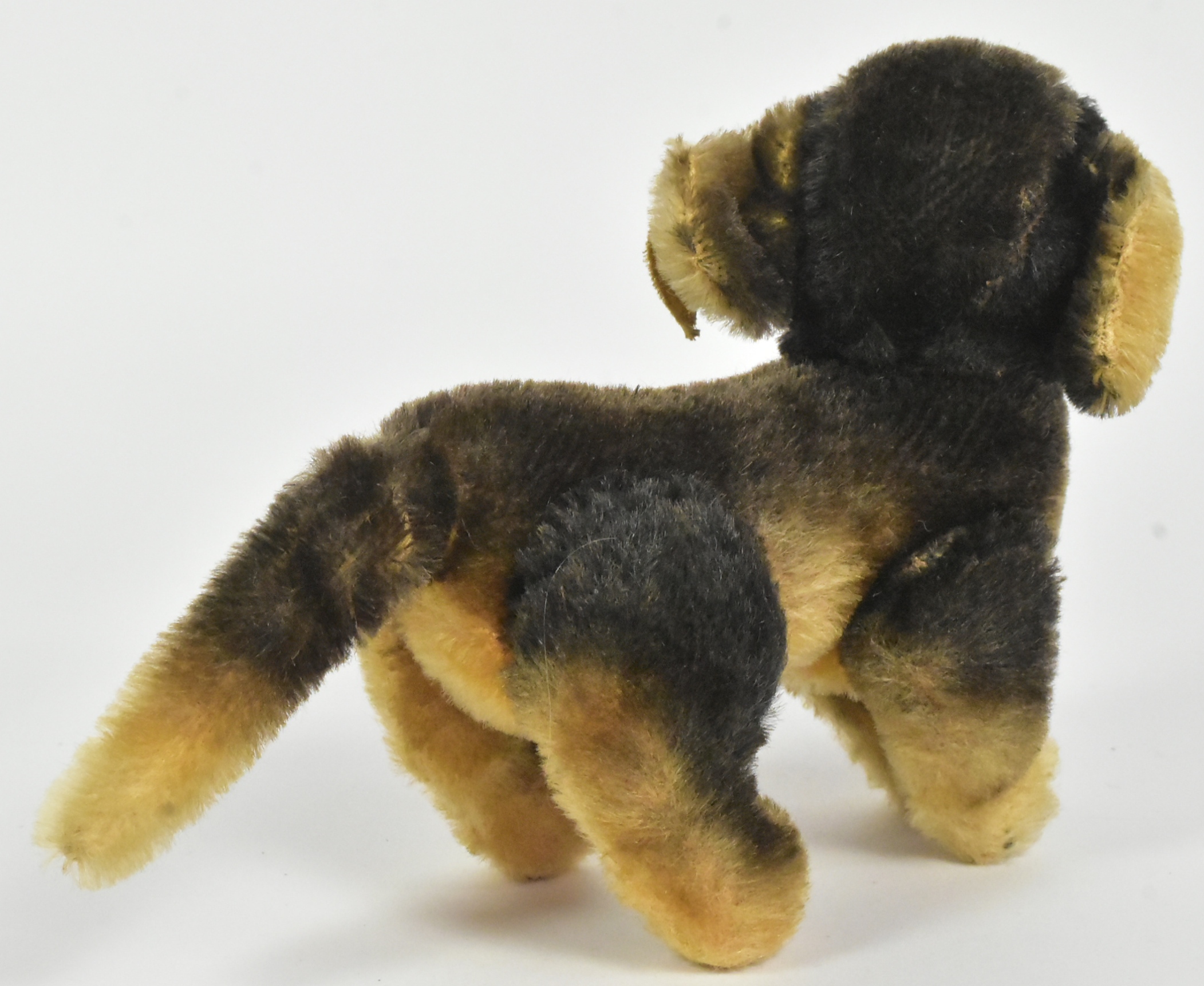 STEIFF - VINTAGE GERMAN STEIFF MADE DOG - Image 3 of 6