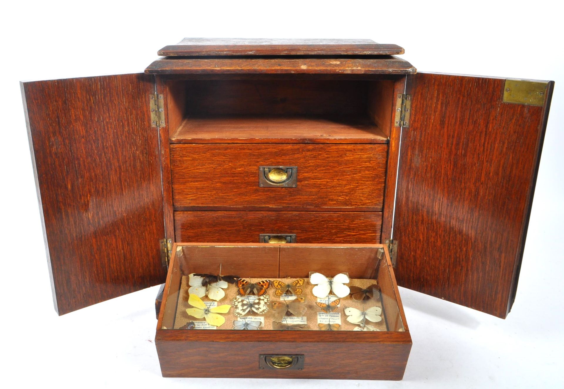 COLLECTION OF TAXIDERMY BUTTERFLIES WITHIN CASED DRAWERS