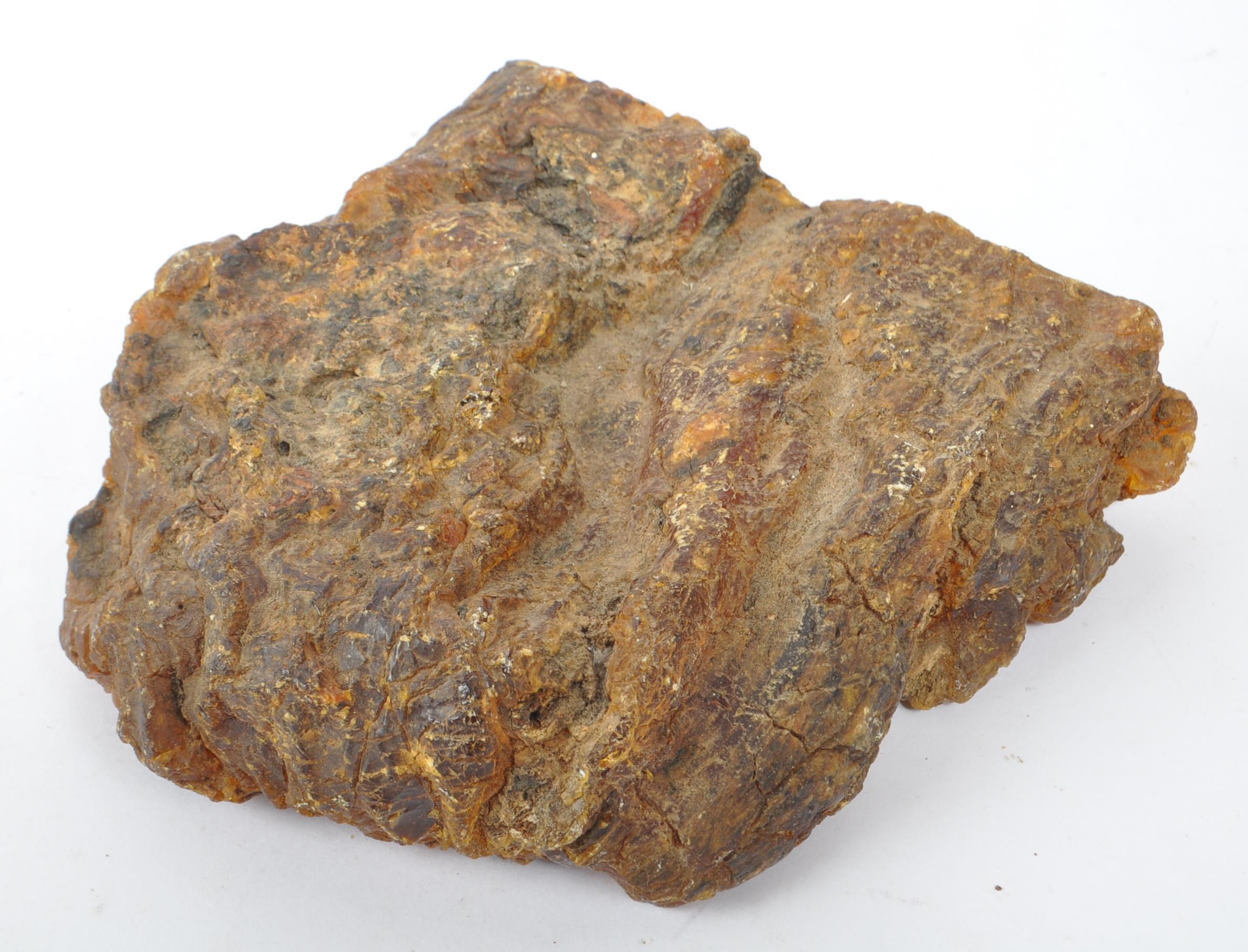 NATURAL HISTORY / GEOLOGICAL INTEREST - LARGE PIECE OF RAW AMBER - Image 5 of 6