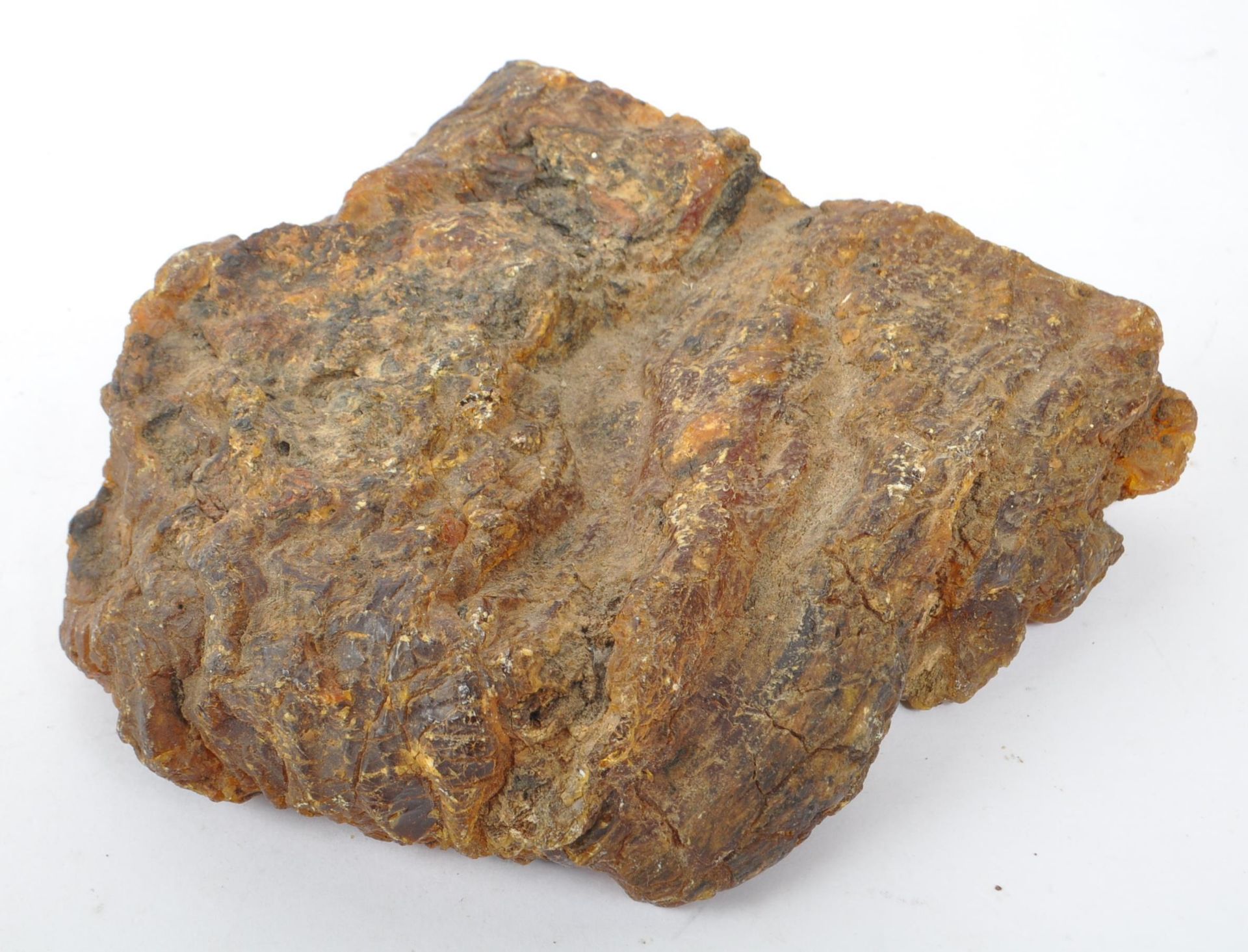NATURAL HISTORY / GEOLOGICAL INTEREST - LARGE PIECE OF RAW AMBER - Bild 5 aus 6