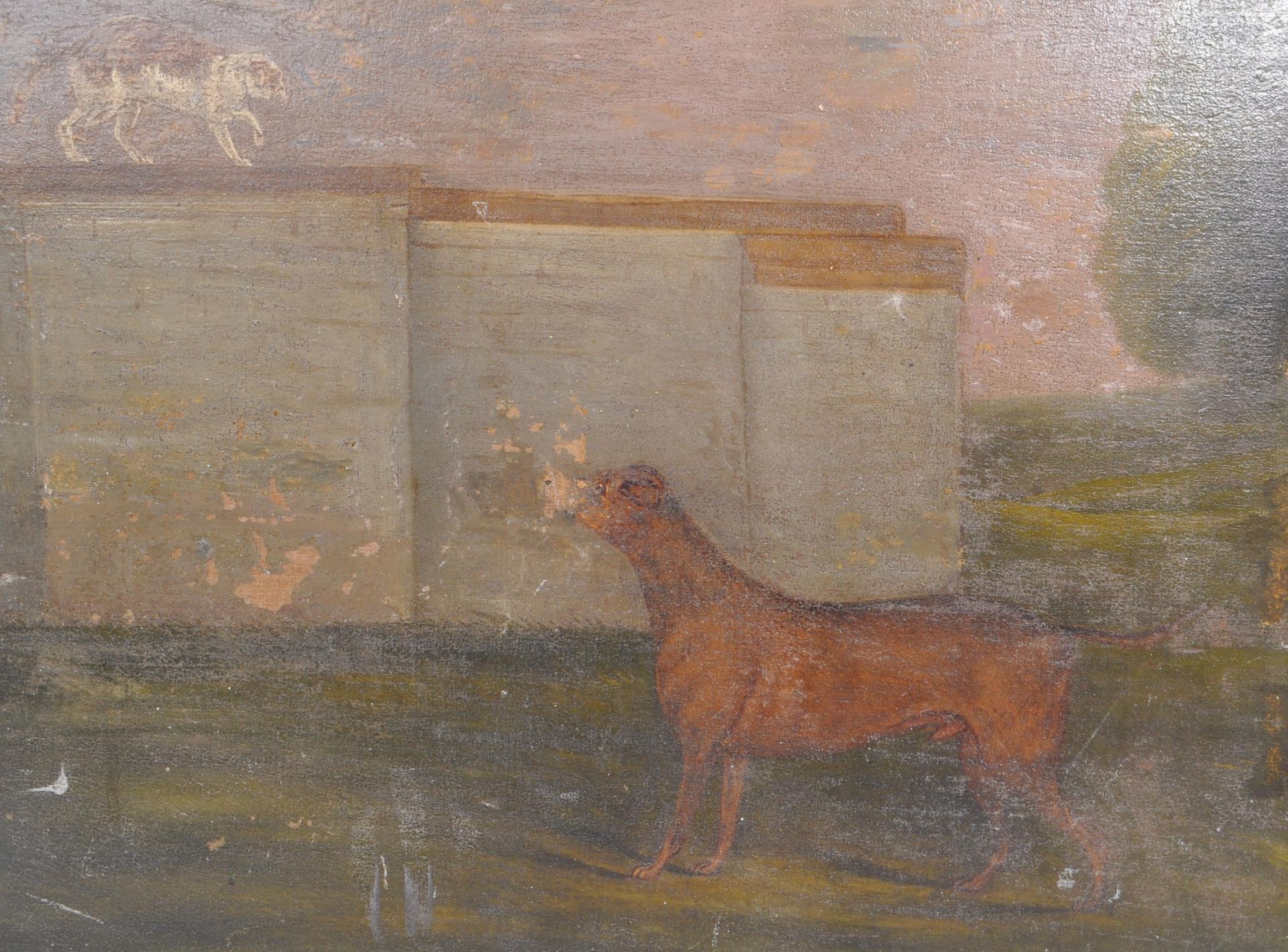 BRITISH SCHOOL - 19TH CENTURY OIL ON CANVAS DEPICTING CAT & DOG - Image 4 of 4