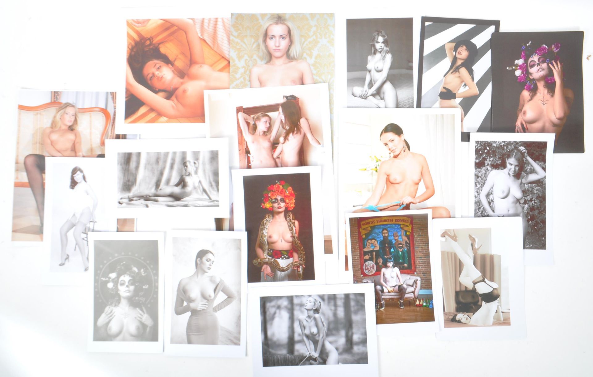 COLLECTION OF FIFTY SIX ART GLAMOUR NUDE EROTIC PHOTO