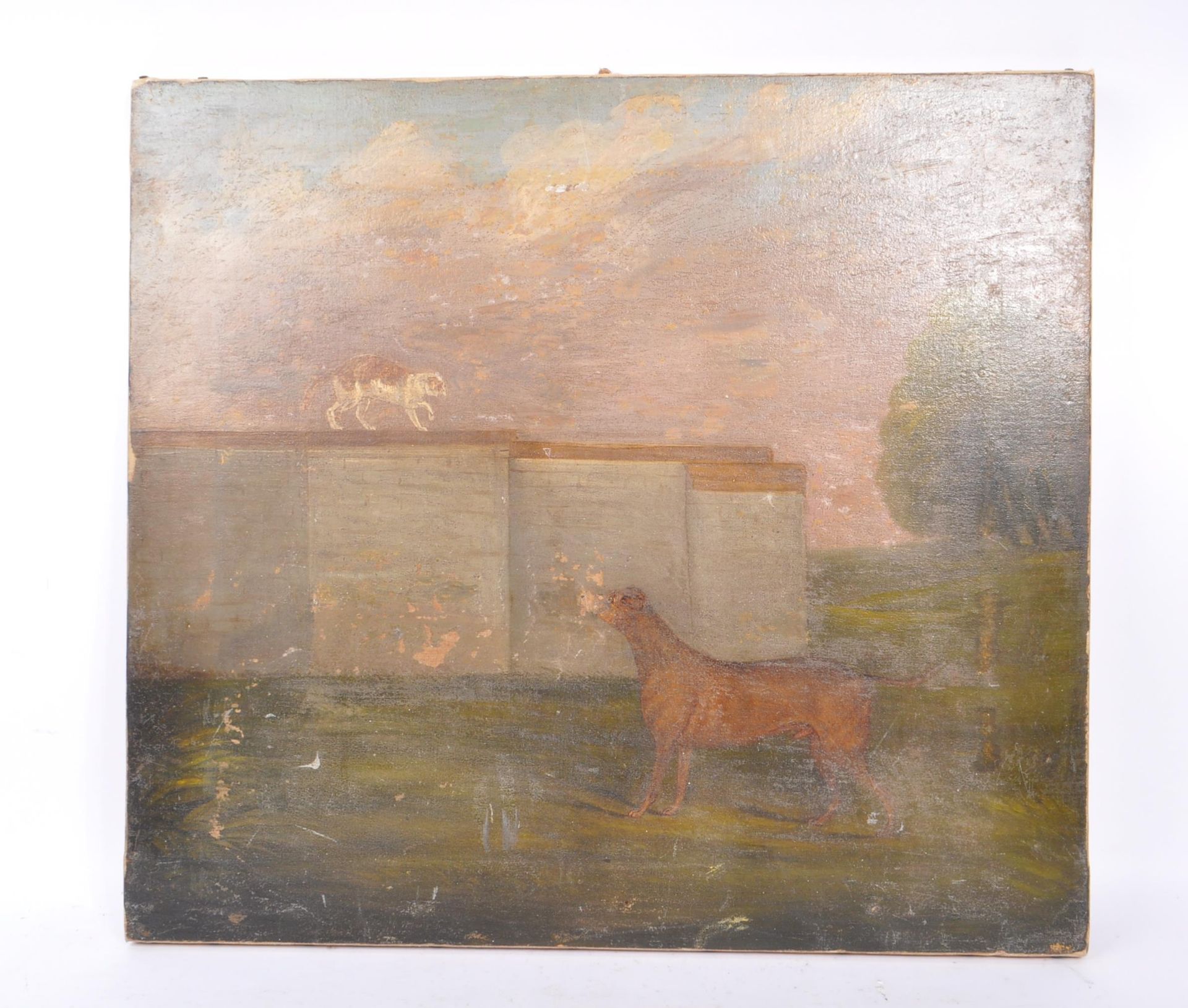 BRITISH SCHOOL - 19TH CENTURY OIL ON CANVAS DEPICTING CAT & DOG