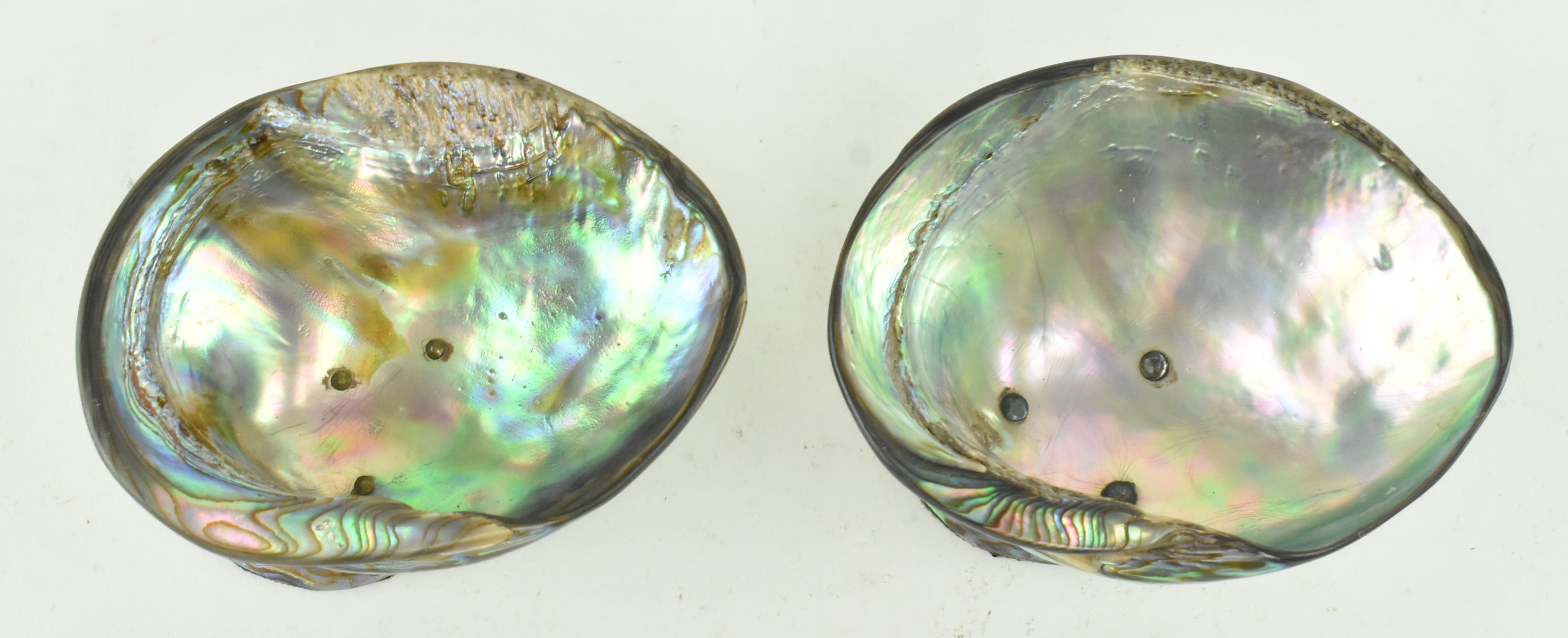 COLLECTION OF VINTAGE ABALONE ITEMS, INCL. SALT & PEPPER SHAKERS - Image 5 of 12