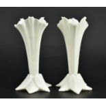 PAIR OF VINTAGE ROYAL WORCESTER FINE BONE CHINA CABINET VASES