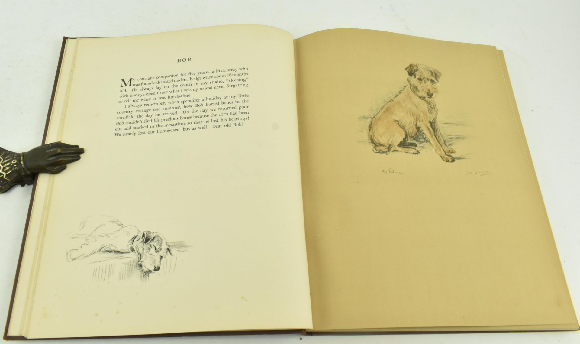 COLLECTION OF FOUR 1930S ANIMAL BOOKS INCL. PETER SCOTT - Image 5 of 6