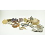 NATURAL HISTORY - COLLECTION OF FOSSILS, SHELLS & GEMSTONES