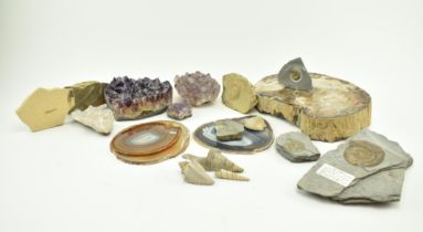 NATURAL HISTORY - COLLECTION OF FOSSILS, SHELLS & GEMSTONES