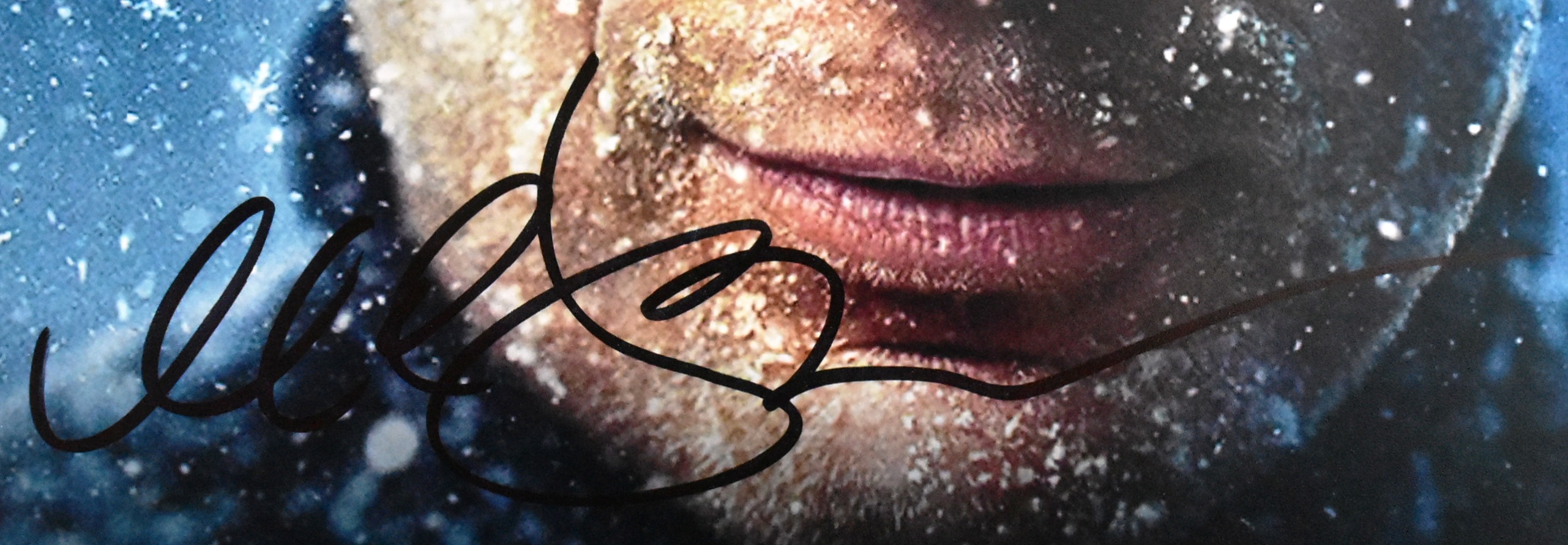 MICHAEL C HALL - DEXTER NEW BLOOD - SIGNED 8X10" PHOTO - AFTAL - Bild 2 aus 2