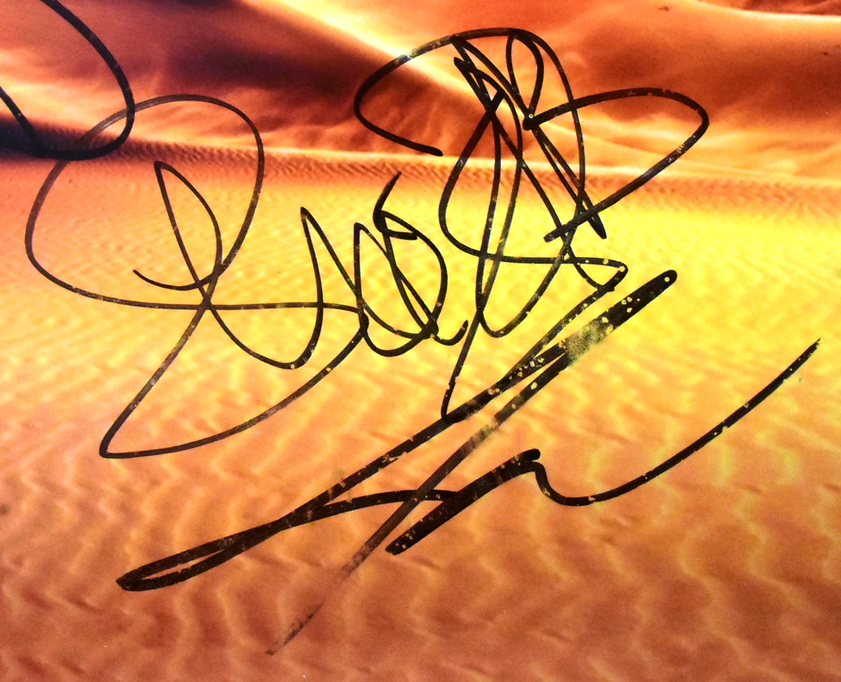 DUNE (2021) - CAST MULTI-SIGNED 11X14" POSTER - AFTAL - Bild 2 aus 3