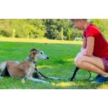 DOG TRAINING SESSION IN YOUR HOME - DOODLE DOGS