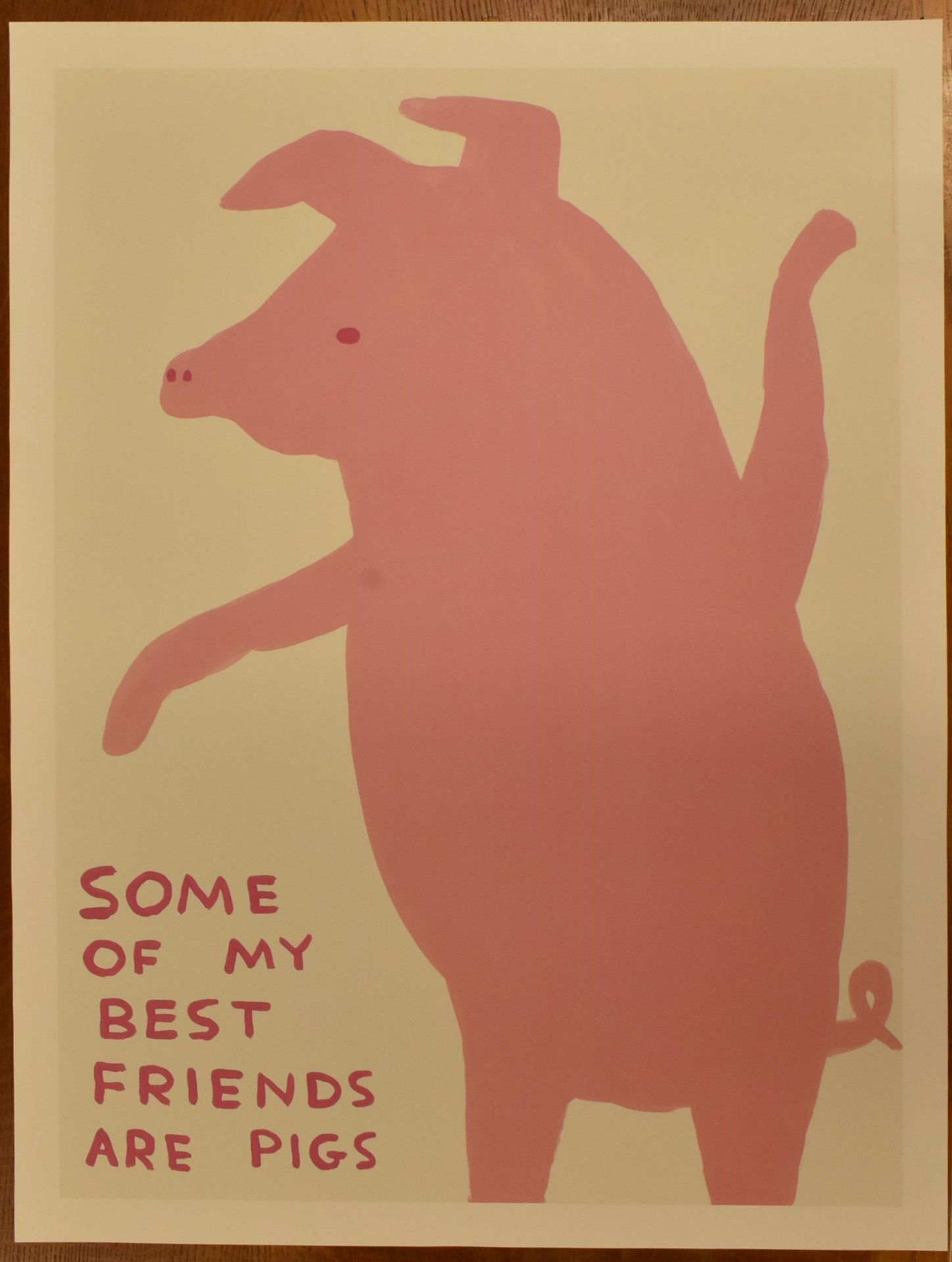 DAVID SHRIGLEY - SOME OF MY BEST FRIENDS ARE PIGS POSTER