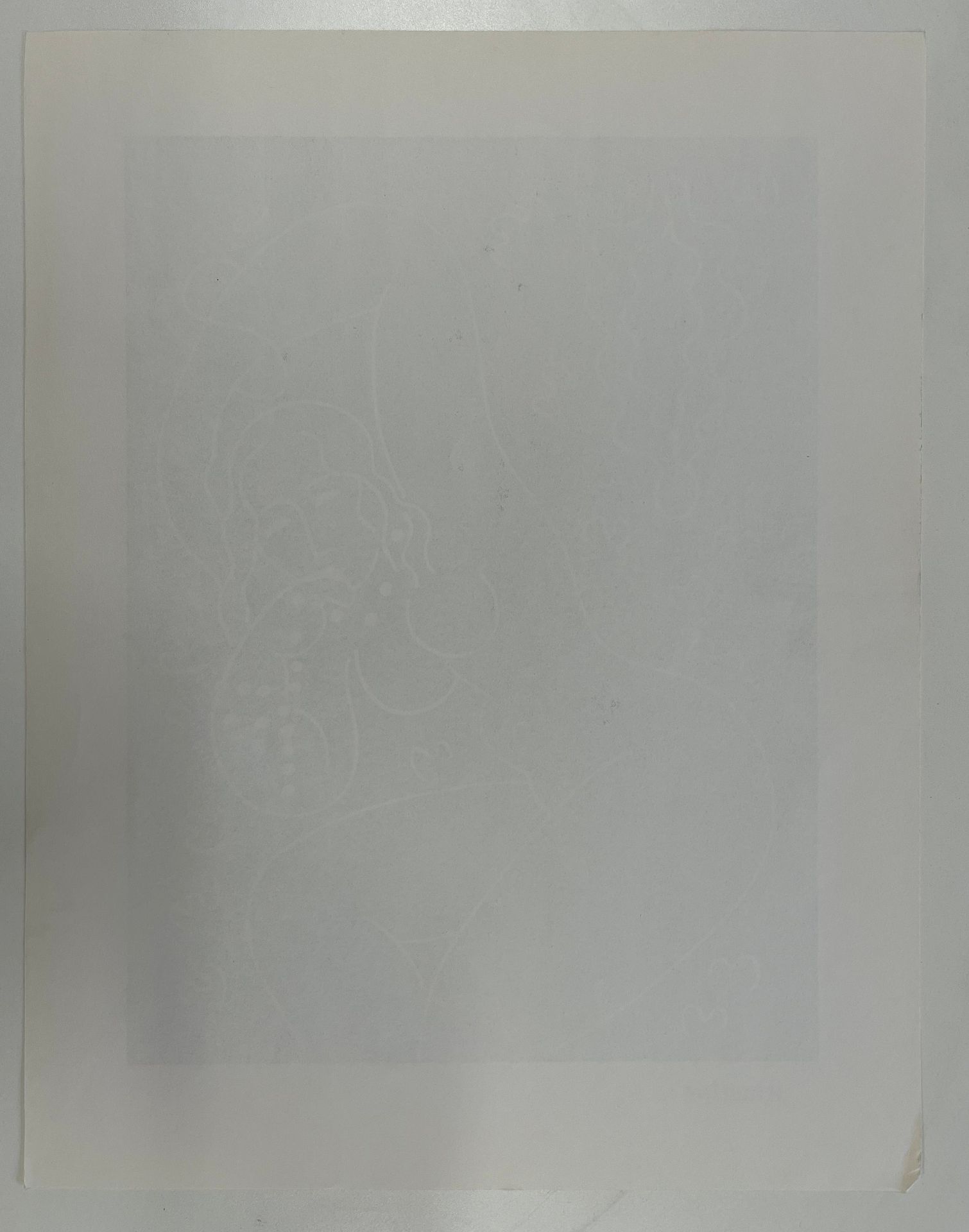 SEVEN VINTAGE LITHOGRAPHS ON PAPER AFTER HENRI MATISSE - Image 12 of 22