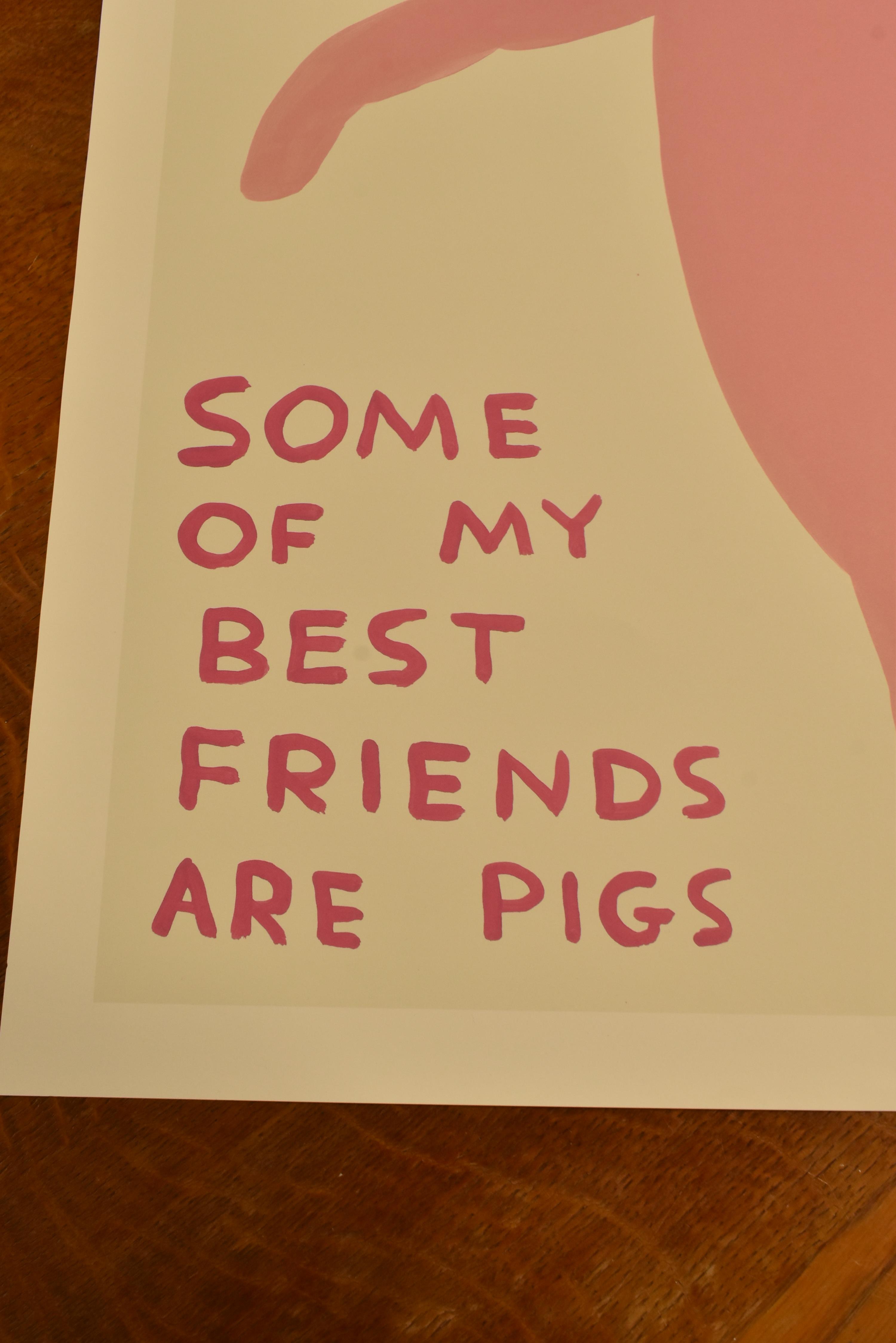DAVID SHRIGLEY - SOME OF MY BEST FRIENDS ARE PIGS POSTER - Image 3 of 5