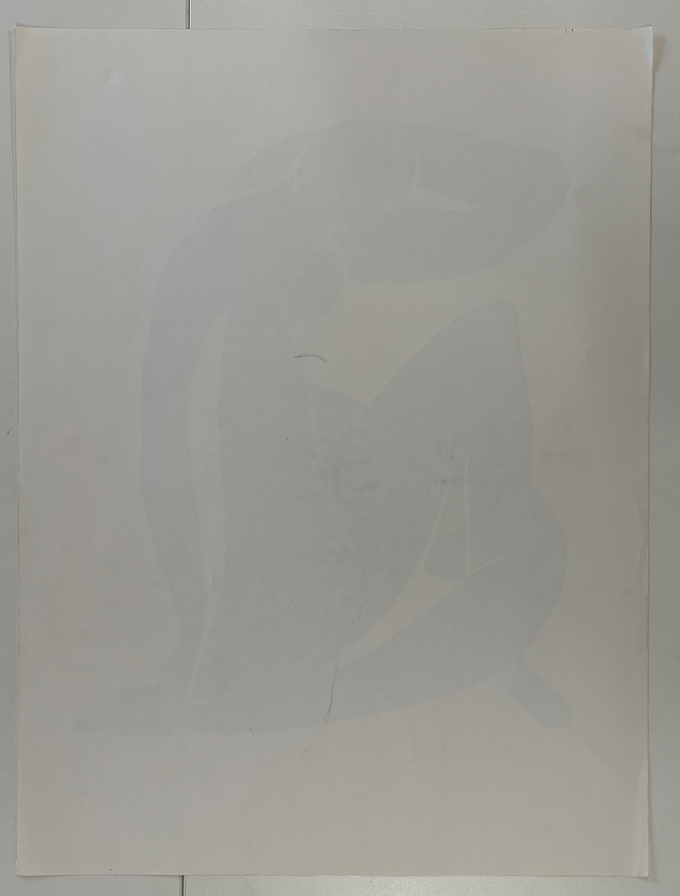 SIX VINTAGE LITHOGRAPHS ON PAPER AFTER HENRI MATISSE - Image 12 of 19