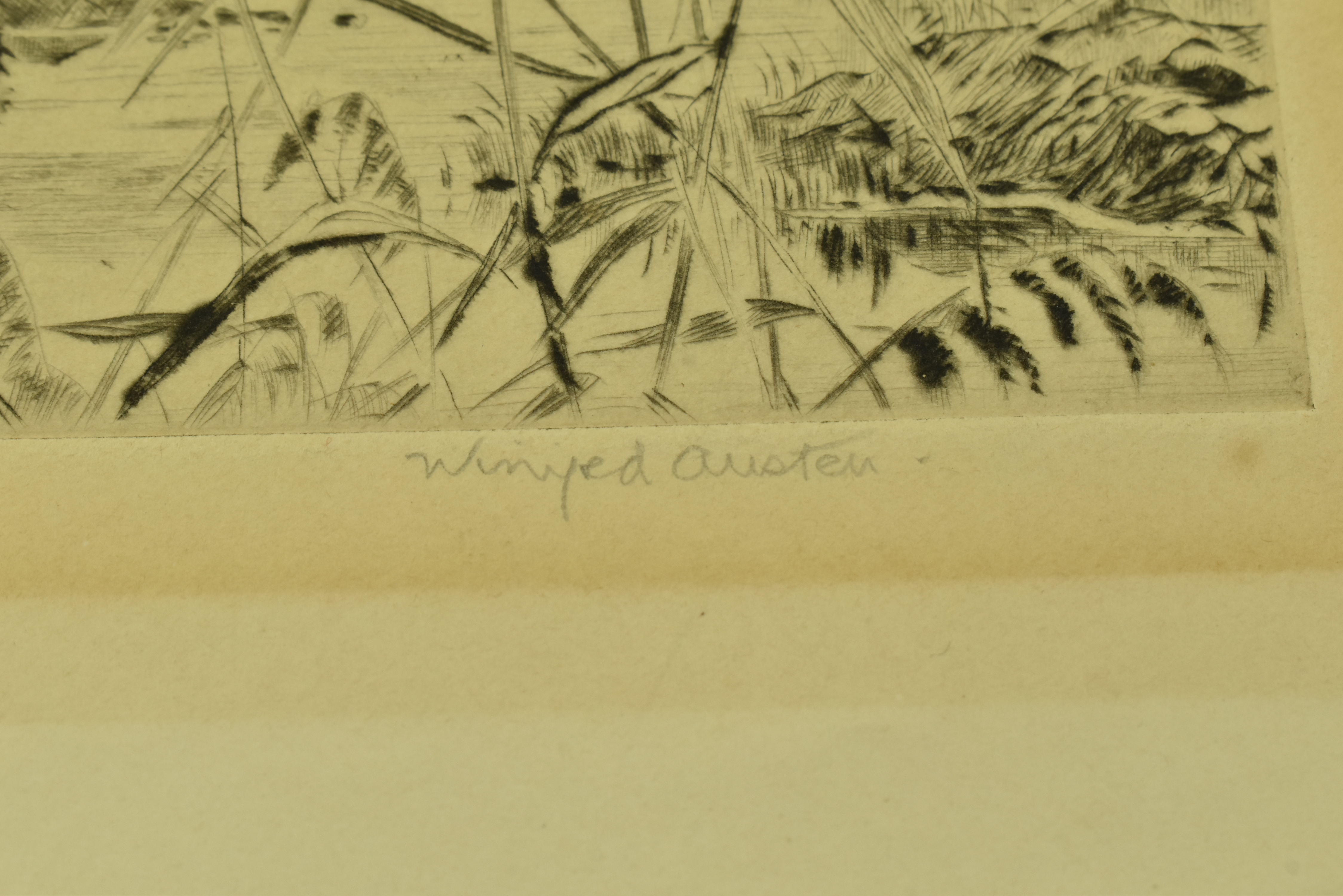 WINIFRED AUSTEN - MAKING OFF - DRYPOINT ETCHING OF STORK - Image 3 of 6