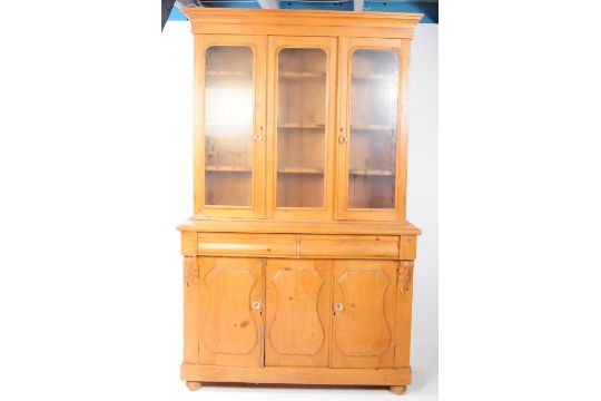 LARGE 19TH CENTURY FRUITWOOD LIBRARY BOOKCASE CABINET - Image 1 of 10