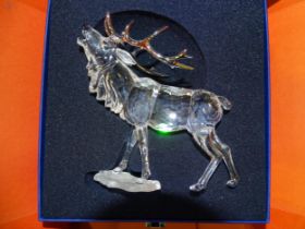 Swarovski, "Large Stag with white metal antlers", (boxed with outer casing).