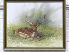 Nance, 'Fallow deer stag', oil on board, 40 x 50cm and another, 'Lion cubs', 50 x 73cm, (2).