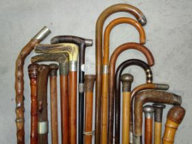 A collection of silver-mounted and other walking canes.