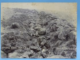 A photograph of dead soldiers in a shallow grave at Spion's Kop, Natal, Jan 26th 1900 and