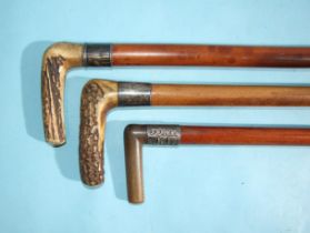 A Malacca and stag antler-handled walking cane, the silver collar marked "Herbert C Bull, Rudford