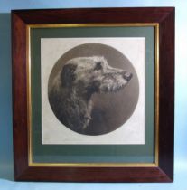 After Herbert Dicksee, etching, head of a wolfhound, pub: Frost & Reed, signed in pencil on the
