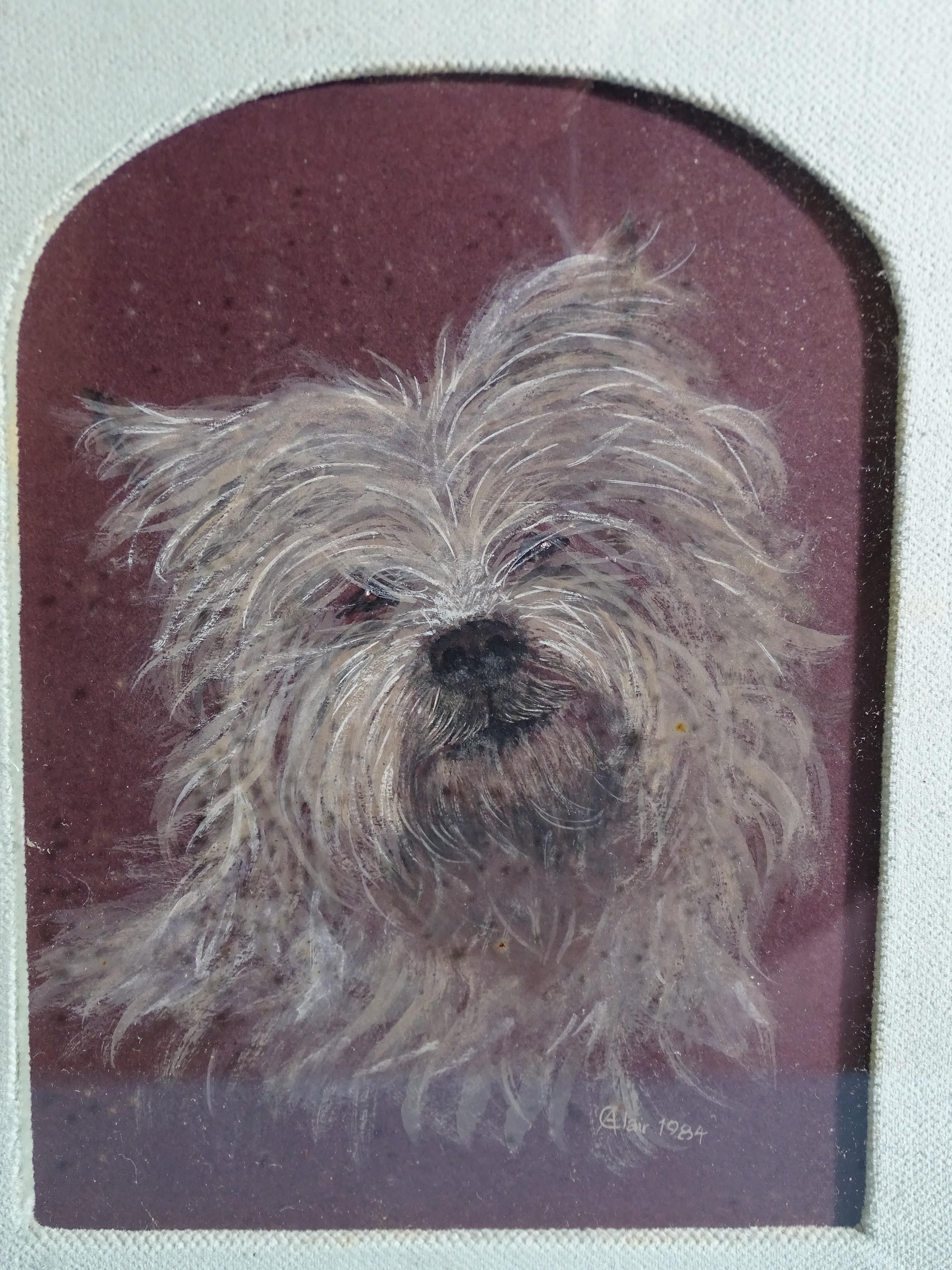 A Clair (20th century) STUDY OF A CAIRN TERRIER Signed watercolour on burgundy paper, 12 x 16cm, - Image 2 of 6