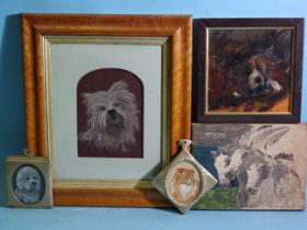 A Clair (20th century) STUDY OF A CAIRN TERRIER Signed watercolour on burgundy paper, 12 x 16cm,