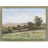 George Oyston SHEEP GRAZING WITH COTTAGE, TREES AND LANDSCAPE IN THE DISTANCE Signed watercolour,