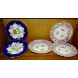 A pair of 19th century cabinet plates, each centrally-painted with flowers within a deep blue and