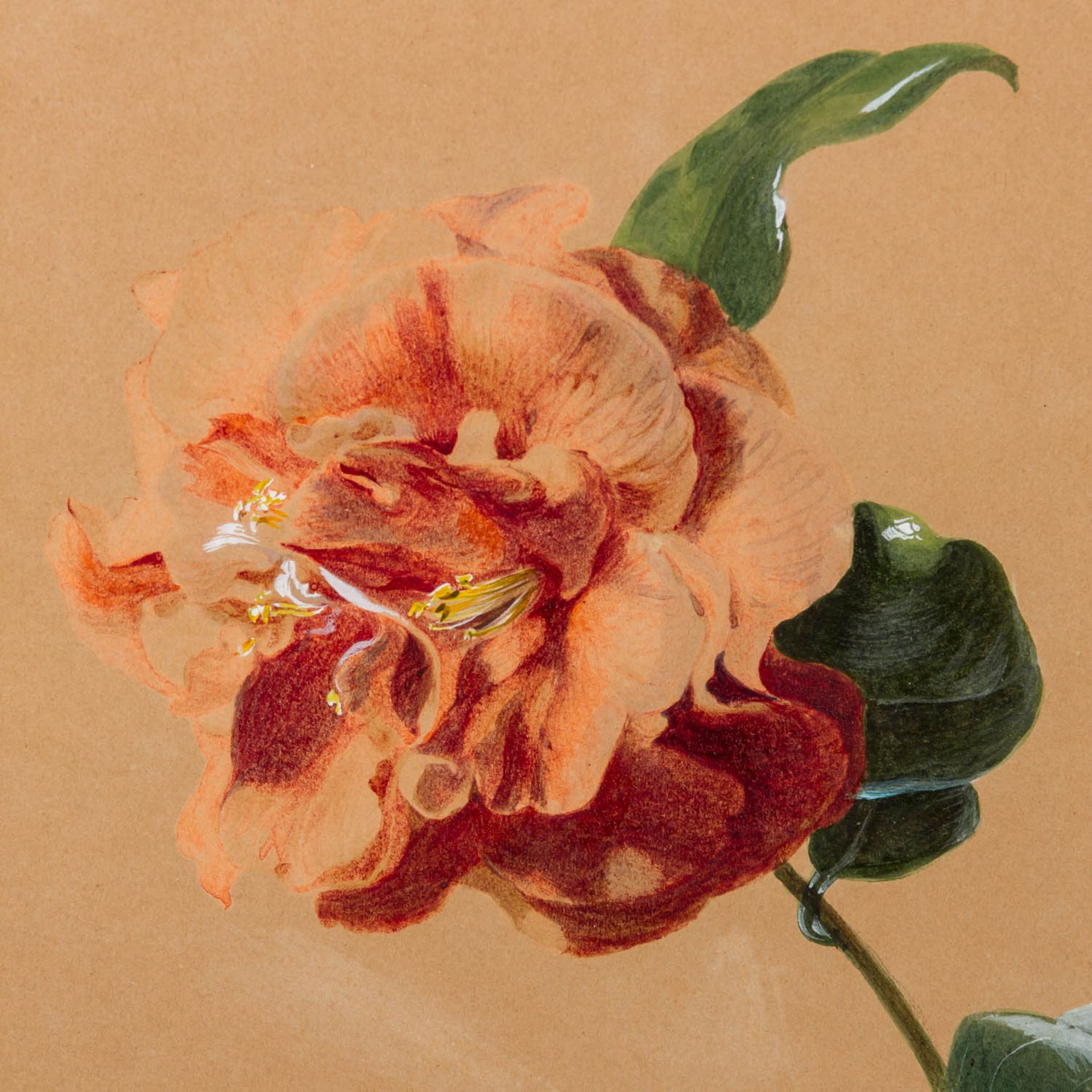 ZUGESCHRIEBEN NEUGEBAUER, JOSEF (1810-1895), „Hibiskusblüte“, - Image 4 of 9