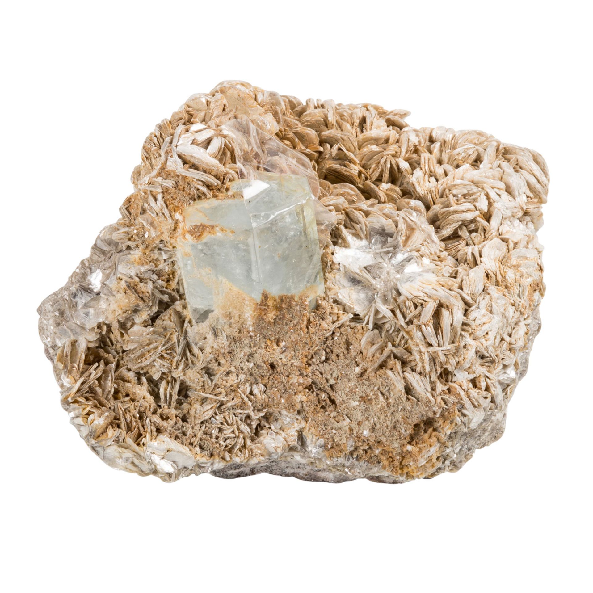 Steine, über 3 kg. schwere Steinplatte mit versteinerten Orthoceras  - Bild 4 aus 7