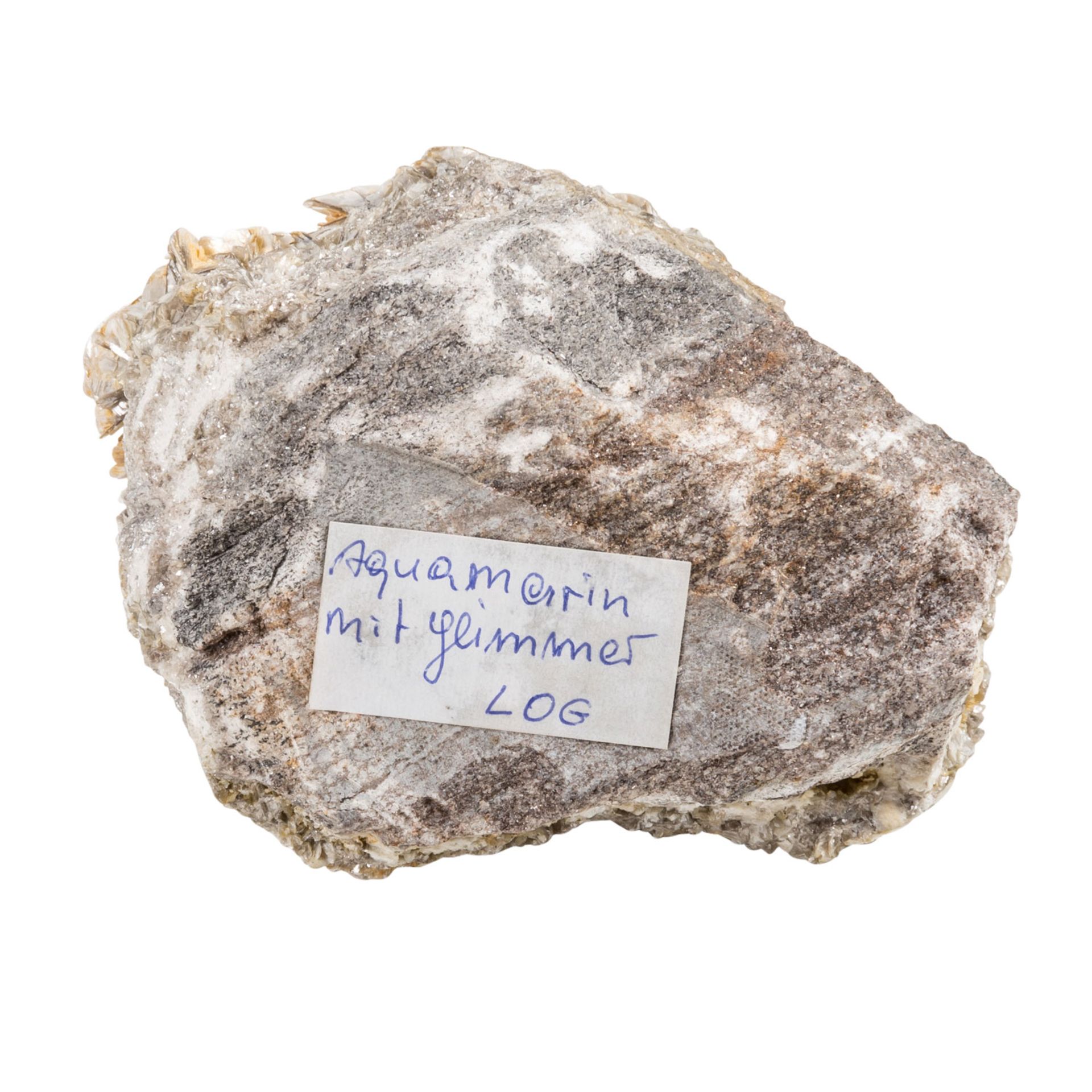 Steine, über 3 kg. schwere Steinplatte mit versteinerten Orthoceras  - Bild 6 aus 7