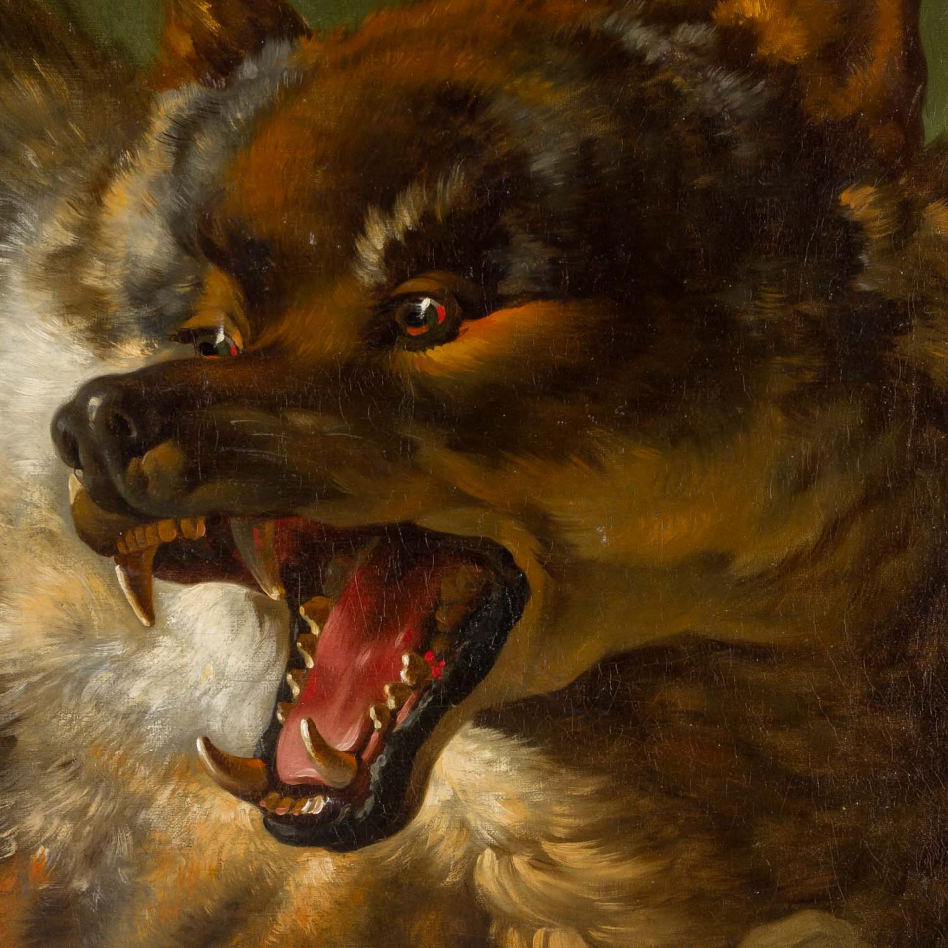 BALDRIGHI, GIUSEPPE, 1723-1802, (NACHFOLGER) "Wolf", - Bild 3 aus 5