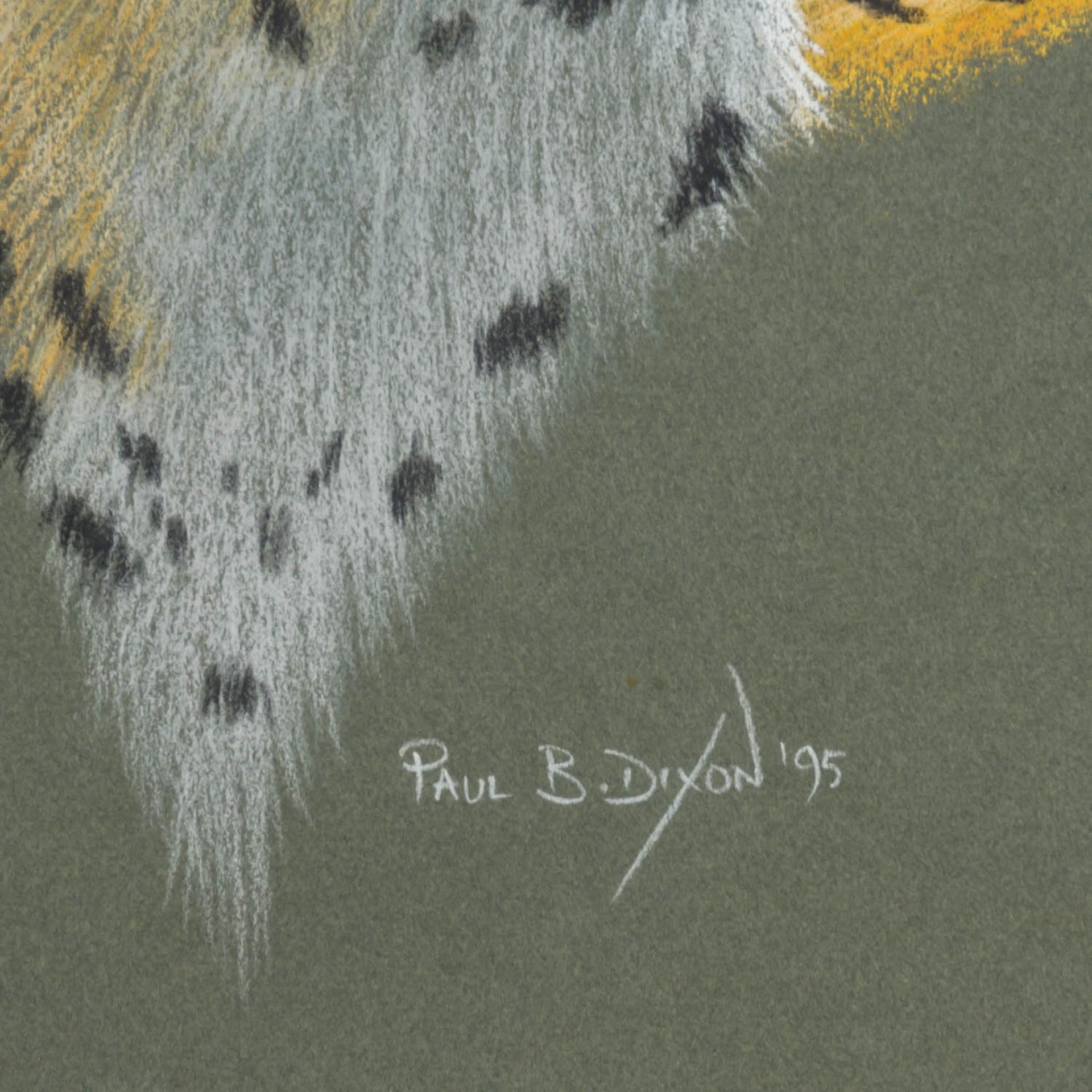 DIXON, PAUL B. (geb. 1956, britischer Künstler), Paar Tierportraits: Leopard und Gepard, 1995, - Bild 3 aus 6