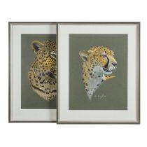 DIXON, PAUL B. (geb. 1956, britischer Künstler), Paar Tierportraits: Leopard und Gepard, 1995,