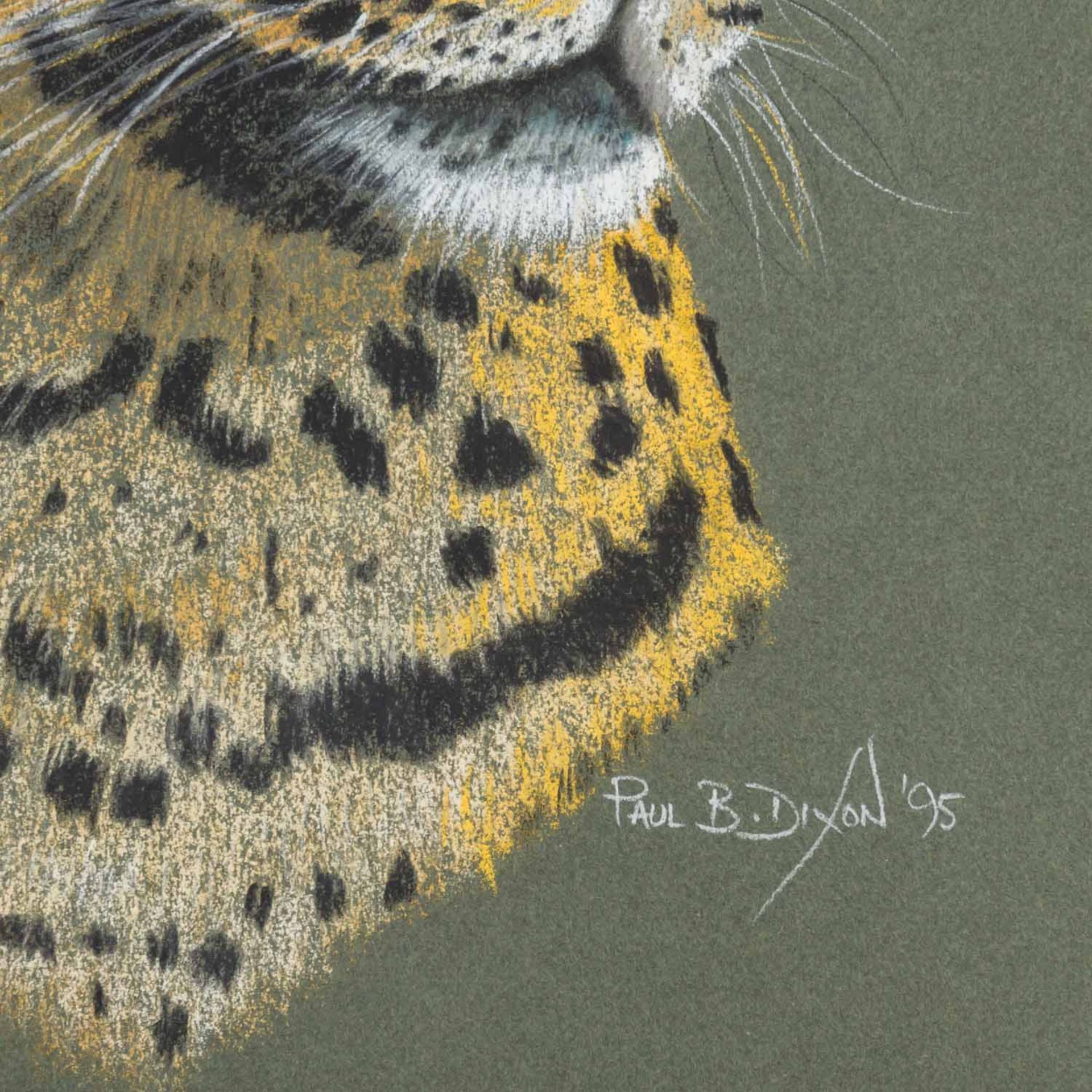 DIXON, PAUL B. (geb. 1956, britischer Künstler), Paar Tierportraits: Leopard und Gepard, 1995, - Bild 5 aus 6