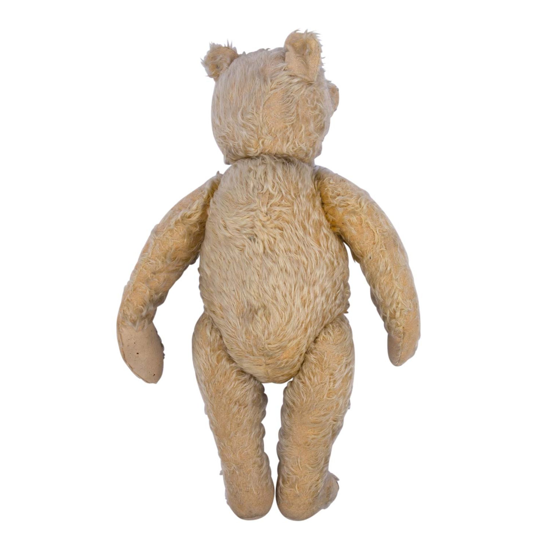 STEIFF Teddybär, 1905-1926, - Bild 5 aus 7