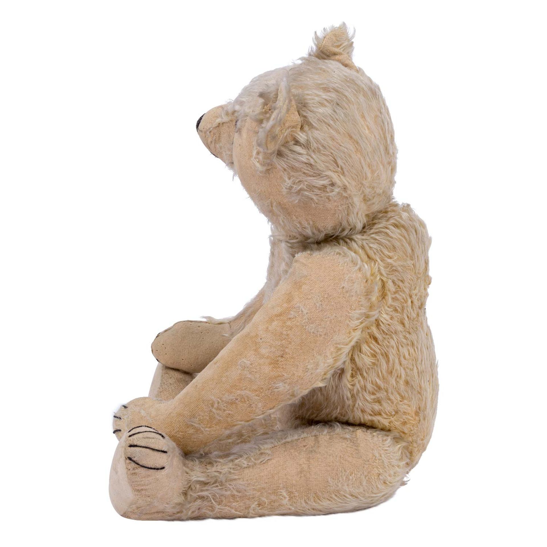 STEIFF Teddybär, 1905-1926, - Bild 3 aus 7