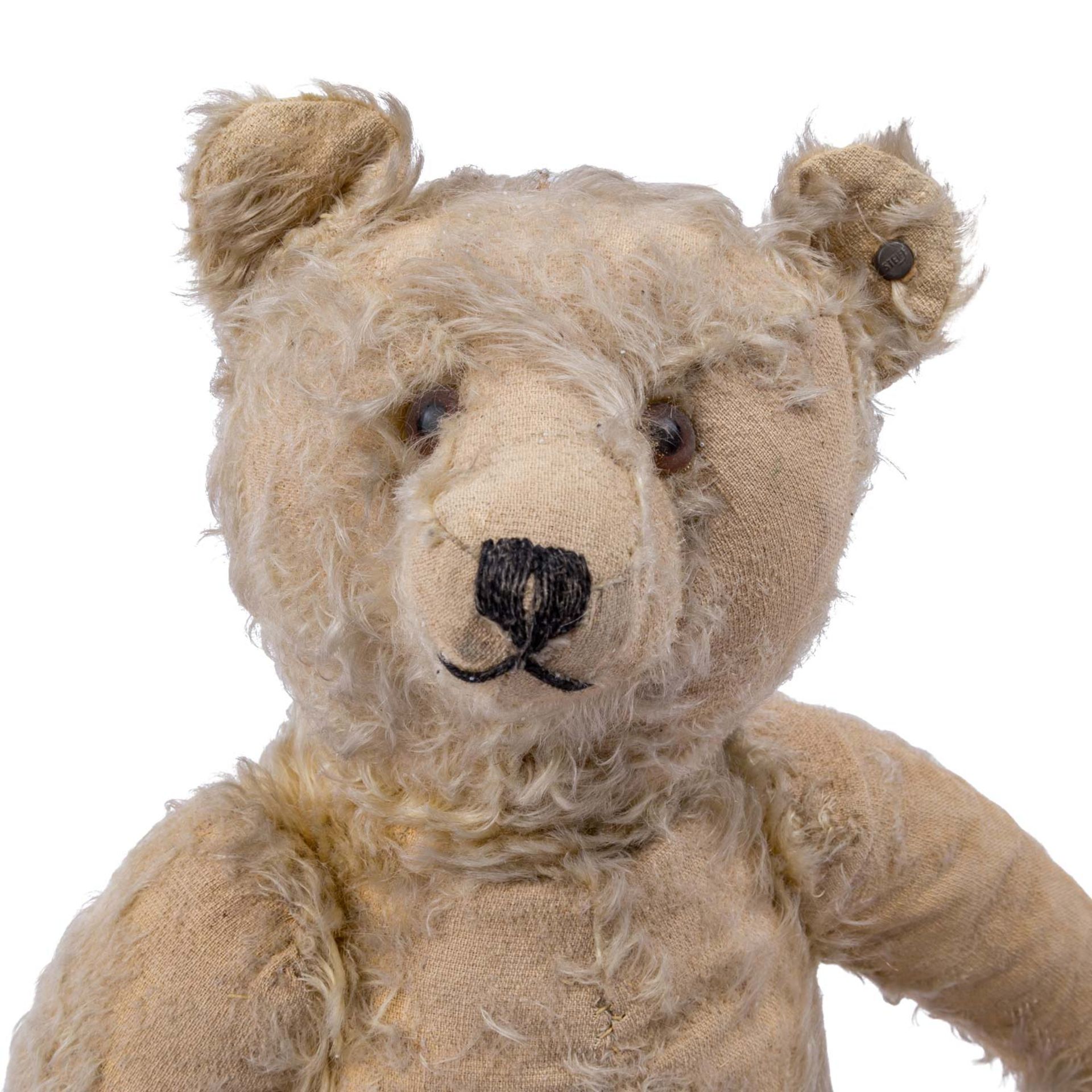 STEIFF Teddybär, 1905-1926, - Bild 6 aus 7