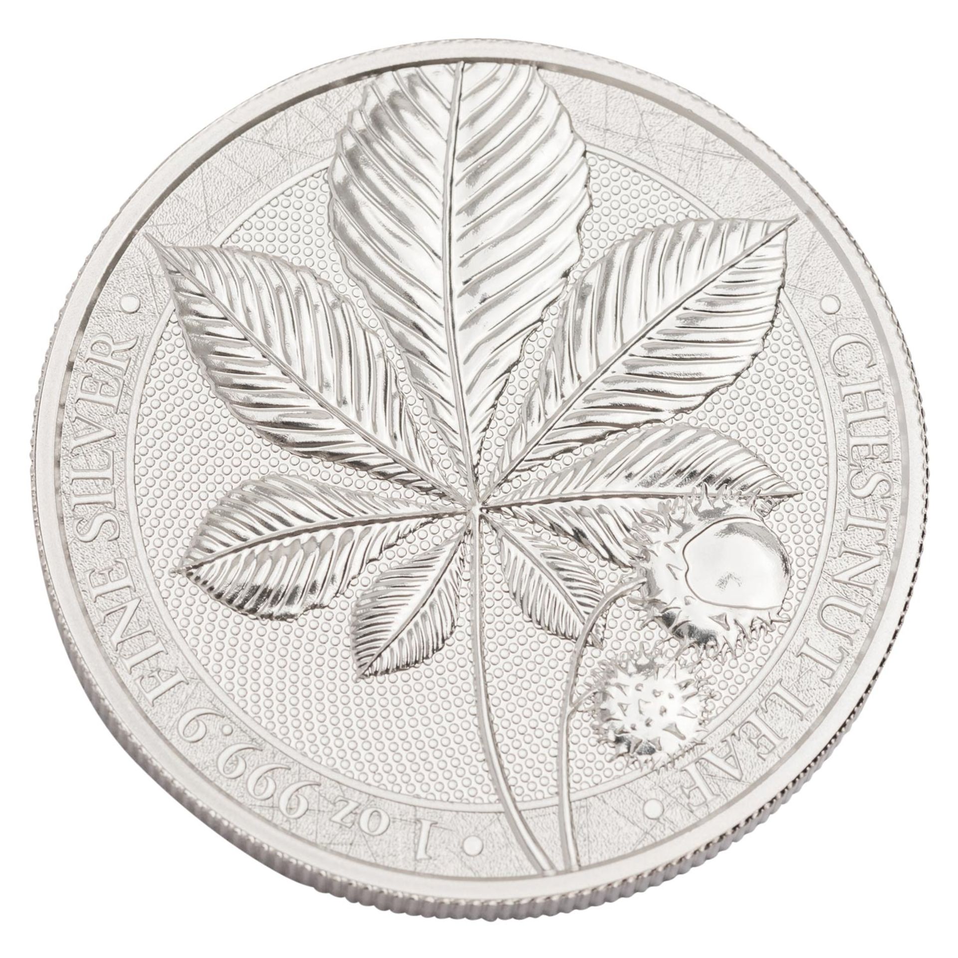 Germania Mint/SILBER - Gewichtiges Lot! 100 x 5 Mark 'Chestnut Leaf' 2021 zu je 1 Unze Feinsilber. - Image 2 of 3