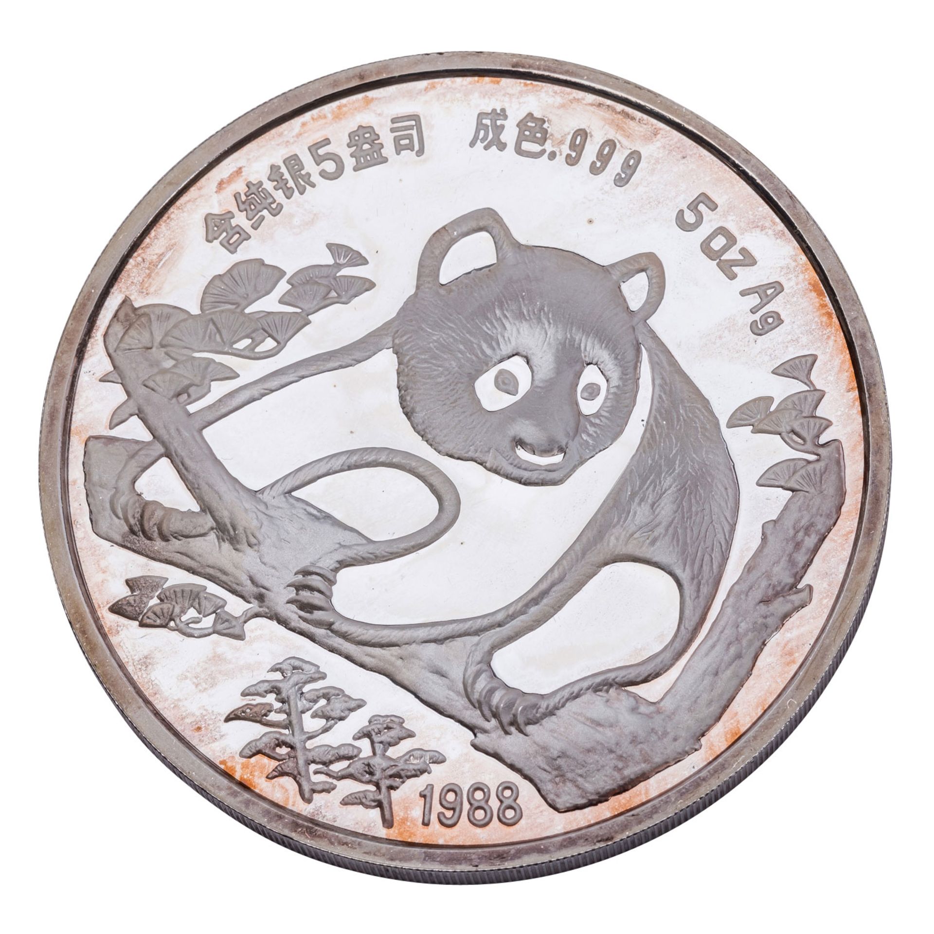 Volksrepublik China/Silber - 5 Unzen Silber 1988, Panda, - Image 2 of 3
