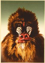 Ronnie Wood (British b.1947), Mandrill, colour screenprint, signed lower right, inscribed lower
